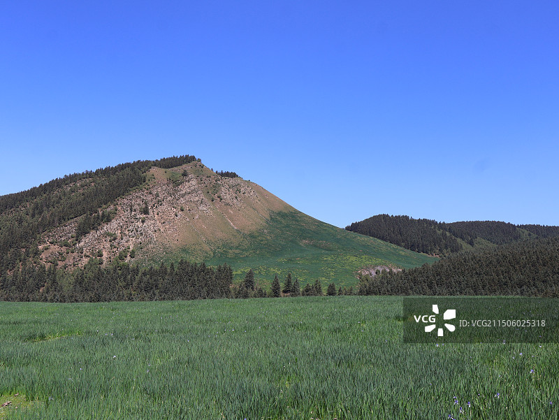 冰沟河景区一角图片素材