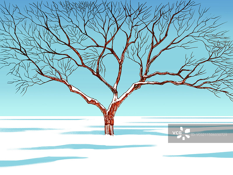 冬天的一棵树手绘蓝色天空冬季景色图片素材