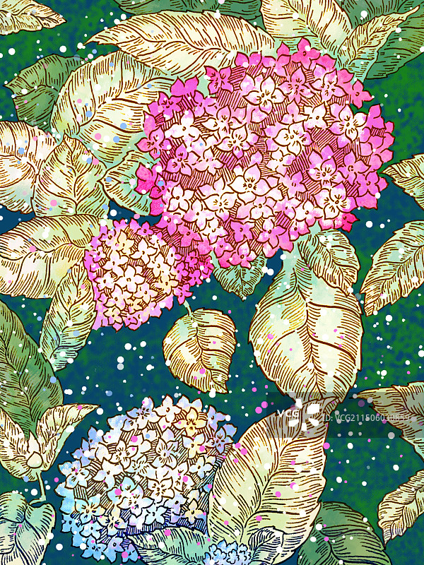 绣球花水彩手绘图片素材