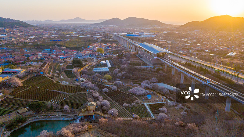 青岛崂山庙石茶园 庙石地铁站图片素材