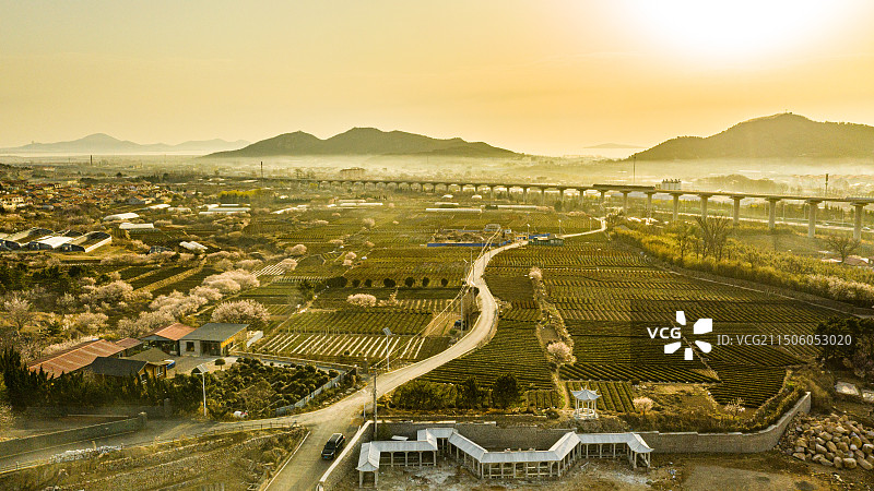 青岛庙石图片素材