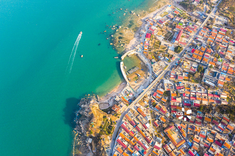 青岛崂山茶园 崂山雕龙嘴梯田图片素材