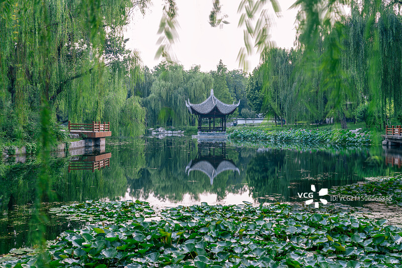 陶然亭公园浸月亭荷花池塘图片素材