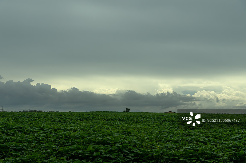 陵水-万宁-谭门镇沿海公路景色图片素材