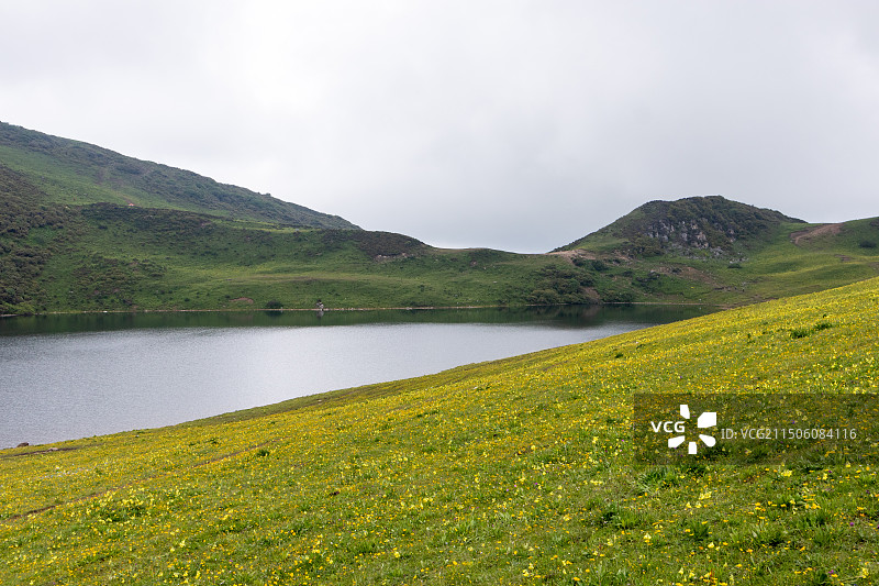 中国四川阿坝州茂县九顶山景区黑龙池，高原高山上开满野花的花海草甸山坡与海子湖泊风景图片素材