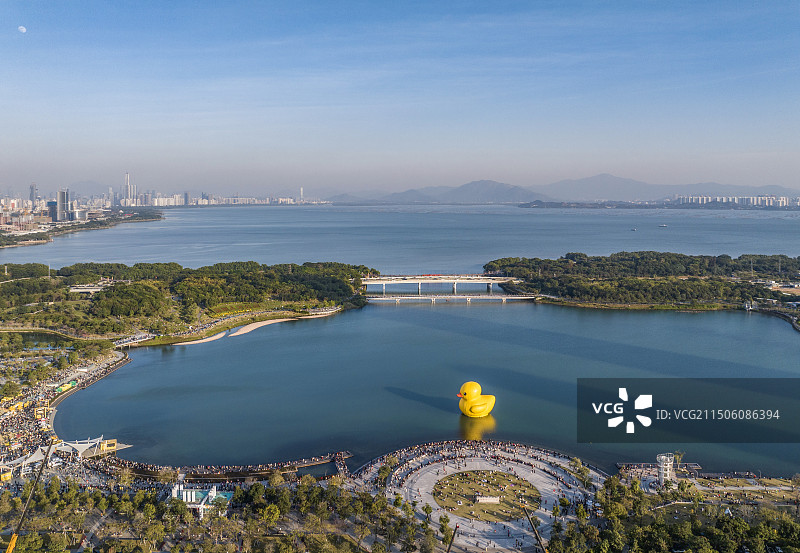 深圳人才公园网红大黄鸭打卡地城市风光图片素材