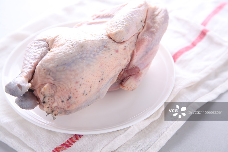 柴母鸡图片素材