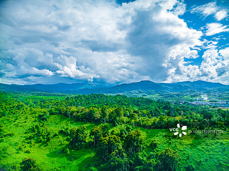 中科院云南西双版纳热带植物园图片素材