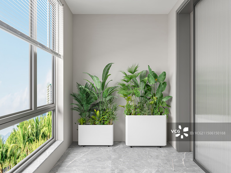 家居阳台盆栽植物图片素材