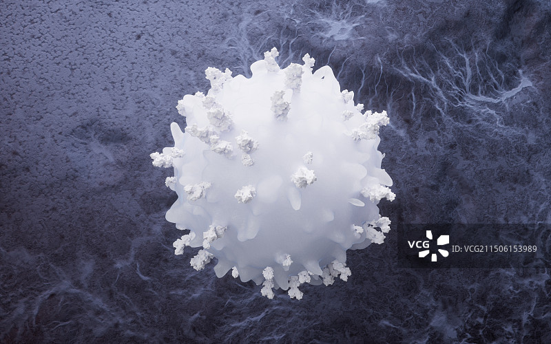 生物淋巴细胞三维渲染图片素材