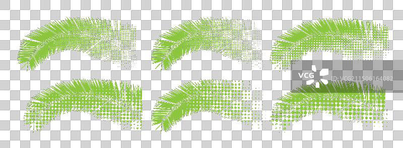手绘绿色棕榈叶图案合集（非AI生成）图片素材