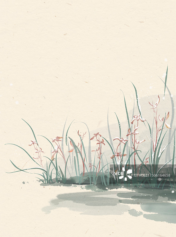 兰花植物靠墙特写图片素材