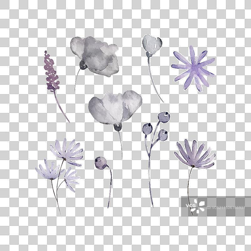 水彩波西米亚风格花朵套装图片素材