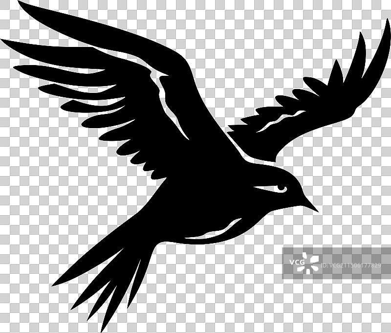 海燕-简约扁平风格logo图片素材