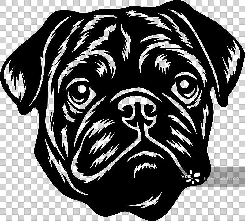 黑白色的哈巴狗图片素材