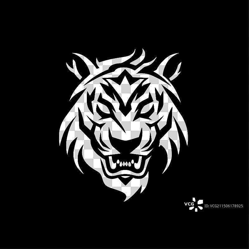 老虎——黑白相间图片素材