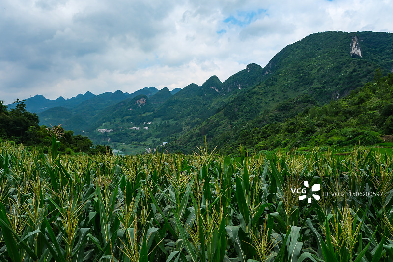 贵州省贵阳市修文县六广镇六广河乡村风光图片素材