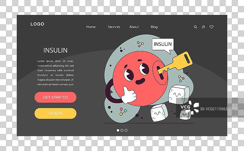 内分泌系统胰岛素功能胰腺图片素材