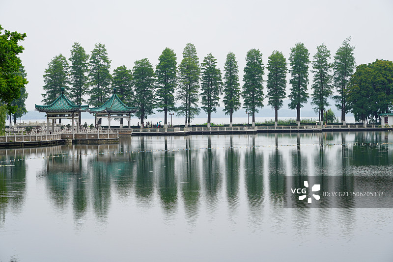 东湖碧潭观鱼图片素材