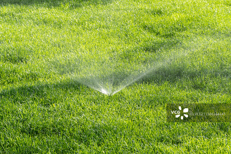 草坪灌溉花洒浇水绿色植被图片素材