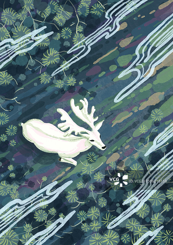 遇见神鹿图片素材