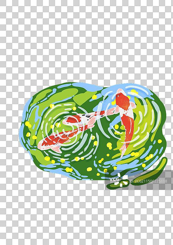 池塘锦鲤图片素材