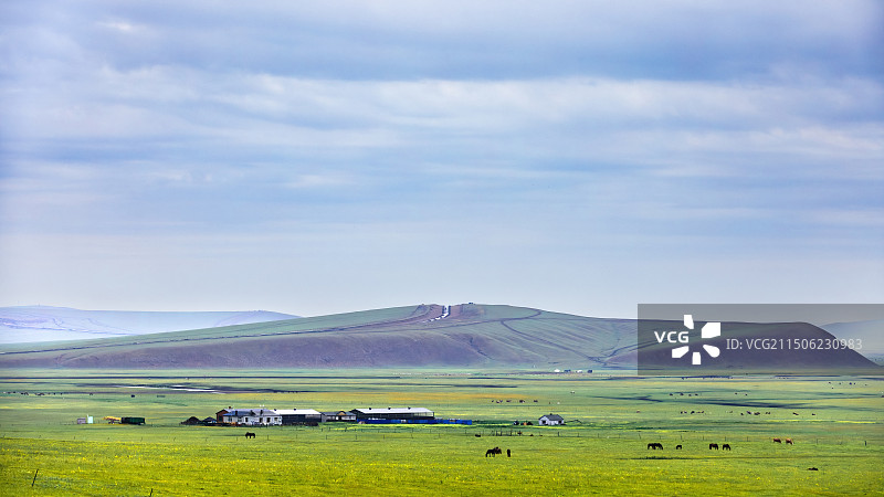 美丽的呼伦贝尔大草原图片素材