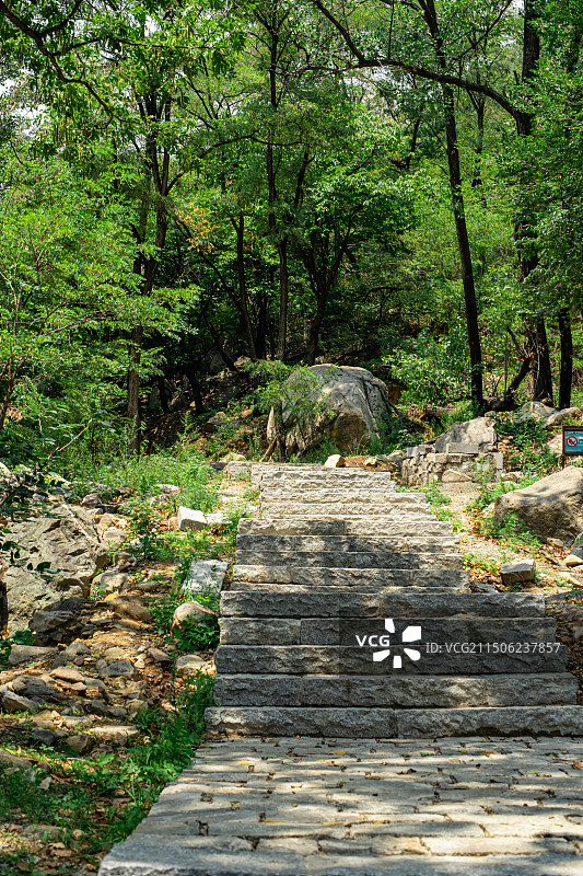中国自然风光拍摄主题，山东省泰安泰山东御道风景区，绿色的山脉和蜿蜒的山路登山道，户外白昼无人图像摄影图片素材