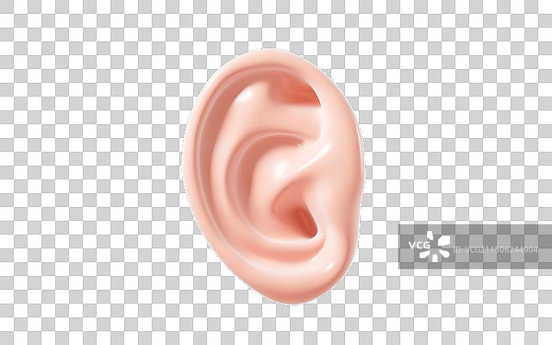 人类耳朵模型3D渲染图片素材