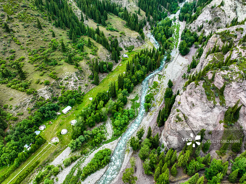 新疆天山大峡谷针叶林航拍图片素材