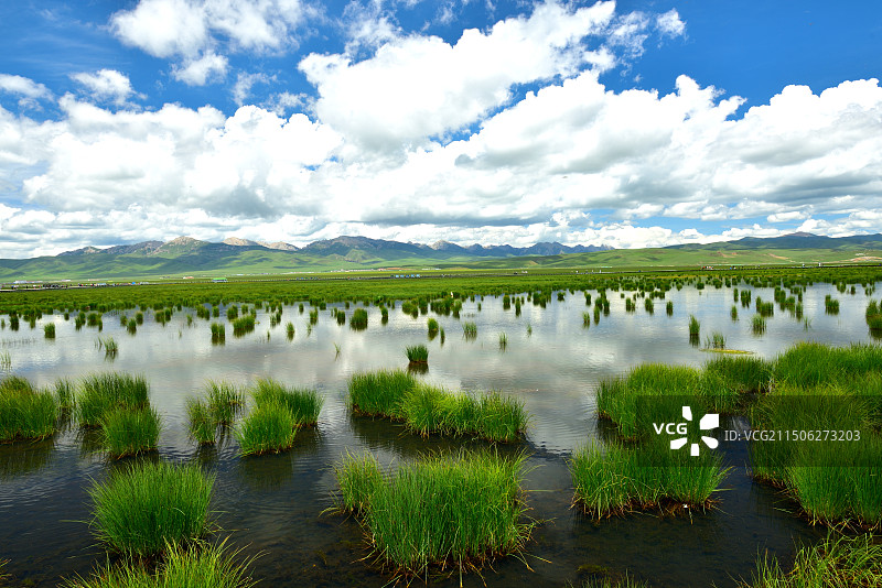 蓝天白云下的花湖。图片素材