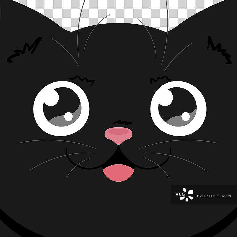 可爱的黑猫脸部特写快乐的猫背景图片素材