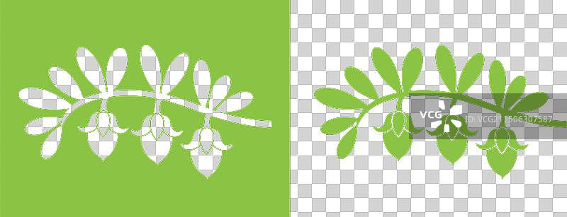 荷荷巴图片素材