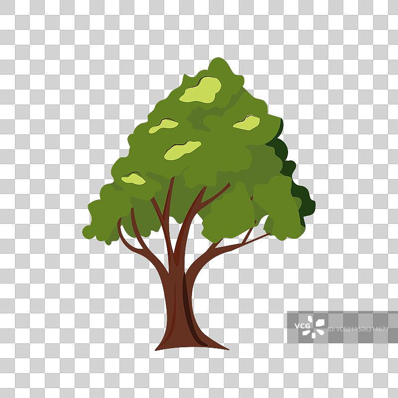 白色背景上的单棵树图片素材