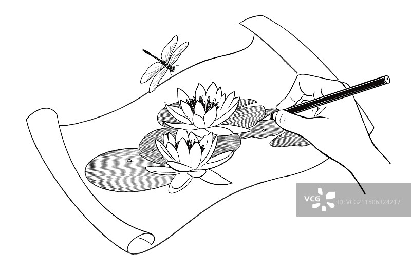 黑白 插图插画  速写 线描素描 大自然 睡莲 绘画 画画 夏季 蜻蜓 手拿画笔图片素材