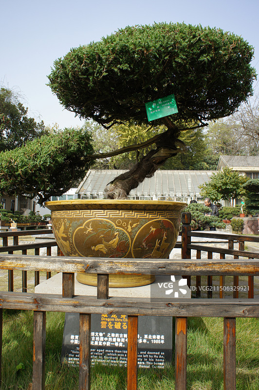 南通如皋盆景大观景区图片素材