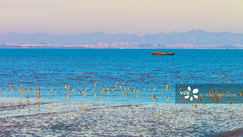 青岛胶州湾图片素材