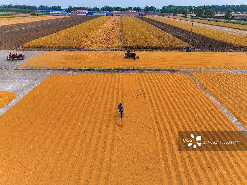 莱西五四农场二场图片素材