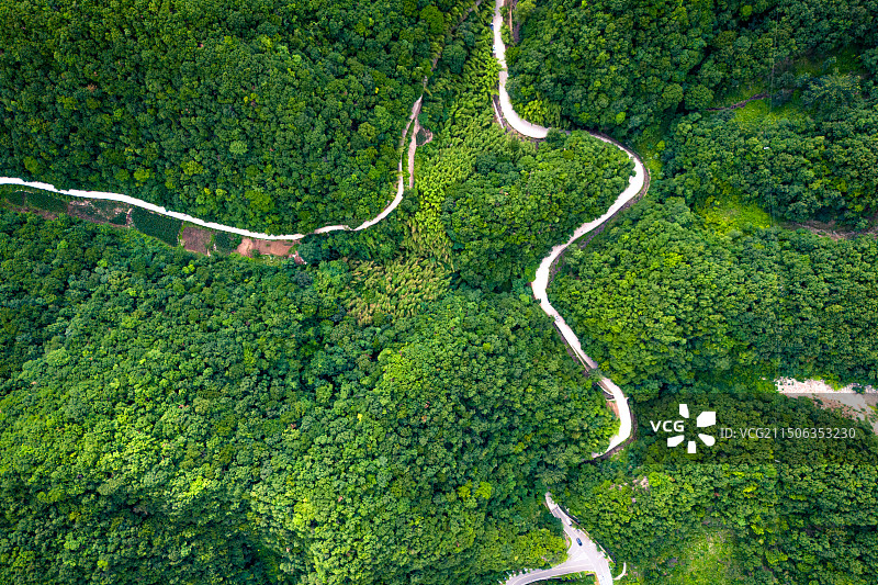 河南洛阳栾川重渡沟：山林茂盛，绿竹溪流，瀑布叠嶂，避暑圣地图片素材
