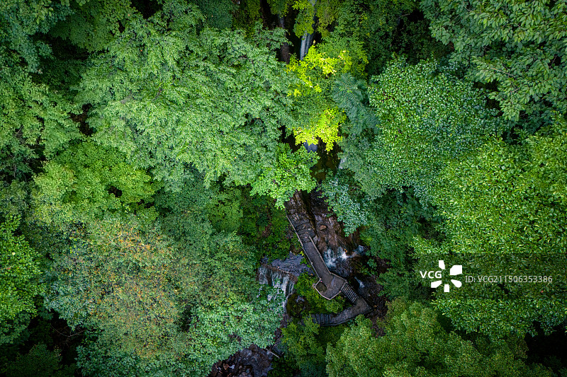 河南洛阳栾川重渡沟：山林茂盛，绿竹溪流，瀑布叠嶂，避暑圣地图片素材