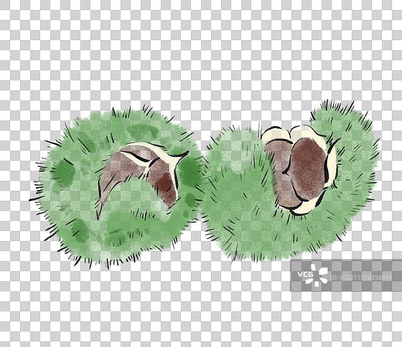 水墨风河北美食插画元素-京东板栗图片素材