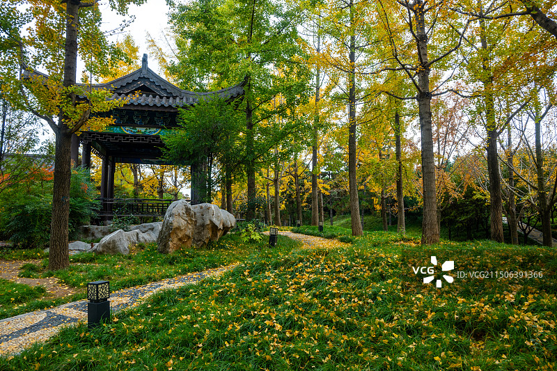 渭南市南湖公园图片素材