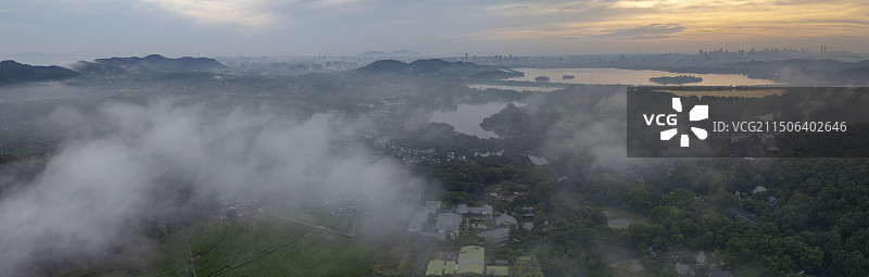 杭州西湖茅家埠龙井茶园图片素材