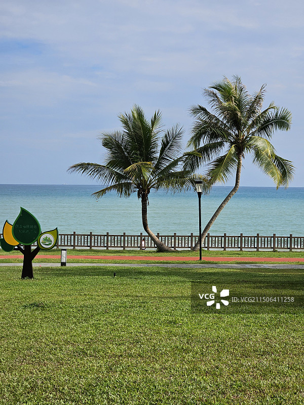 三亚湾椰梦长廊图片素材