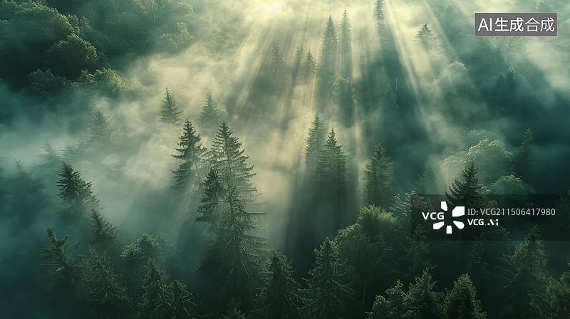 【AI数字艺术】航拍视角迷雾下的森林图片素材