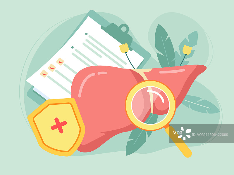 一个肝上面有一个放大镜和护盾矢量插画图片素材