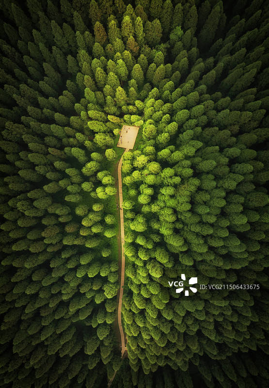 林间小路图片素材