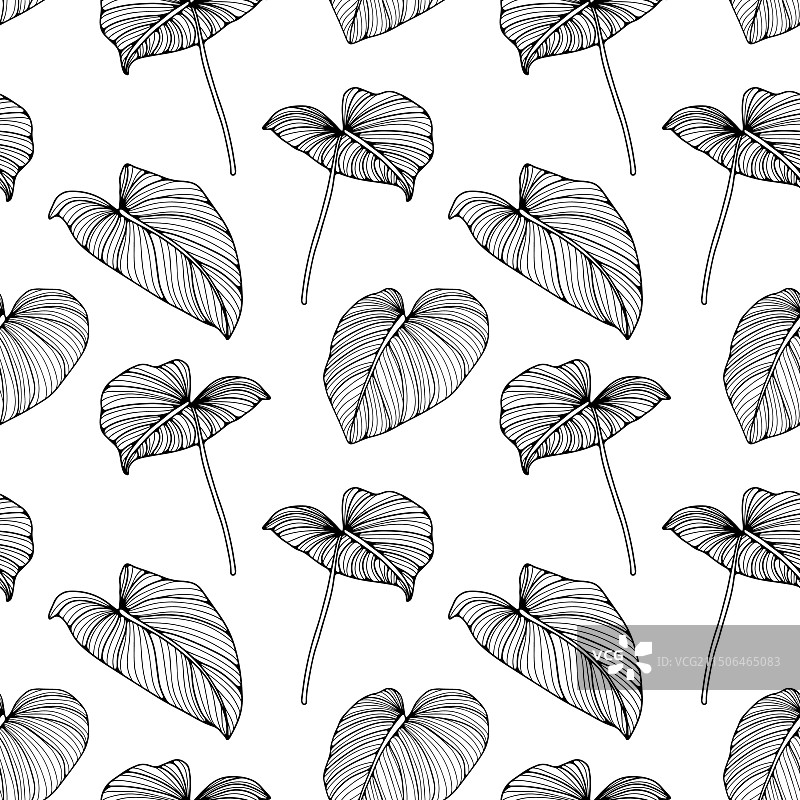 黑白热带无缝图案图片素材