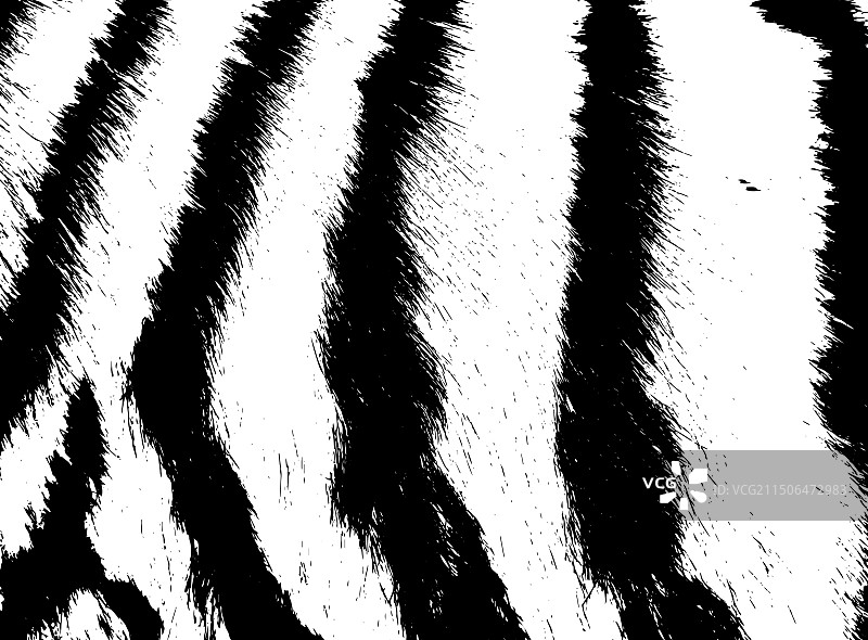 单色斑马或老虎皮毛背景图片素材