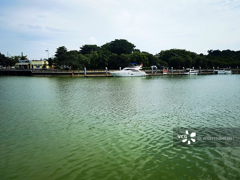游艇，码头，船厂图片素材